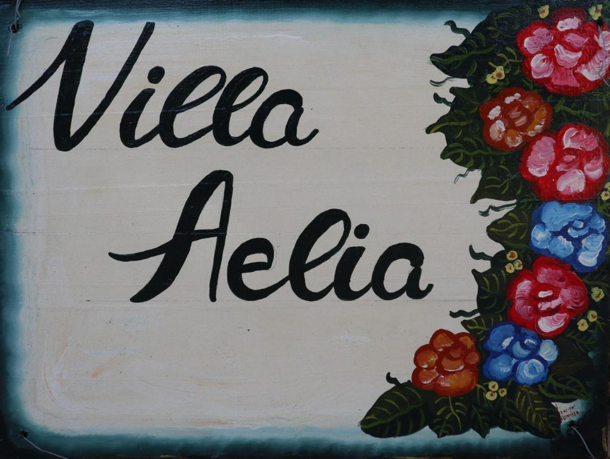 Villa Aelia - A Peaceful And Private Place Argostoli  Exterior foto