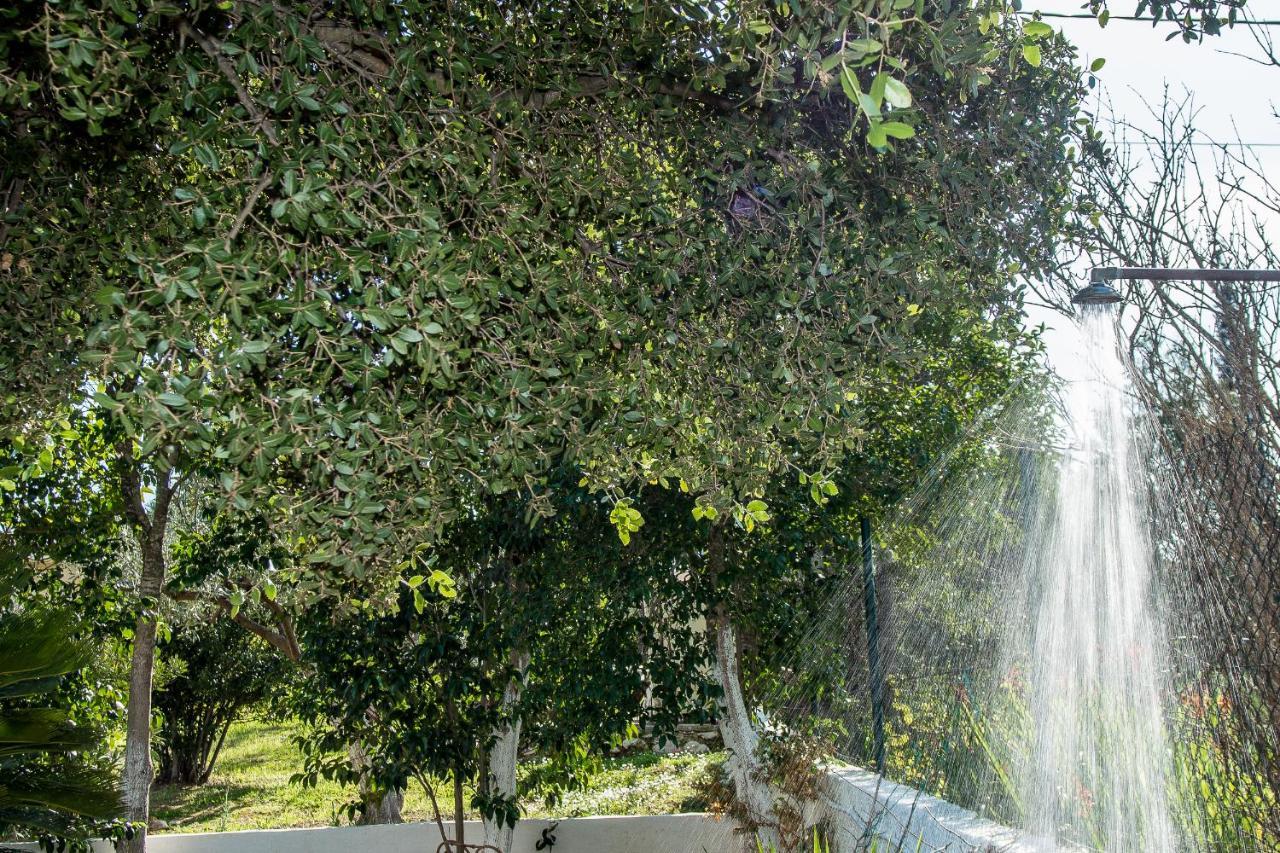 Villa Aelia - A Peaceful And Private Place Argostoli  Exterior foto